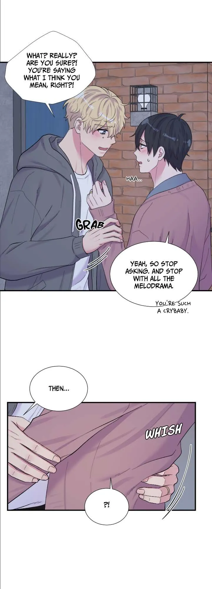 The Professor