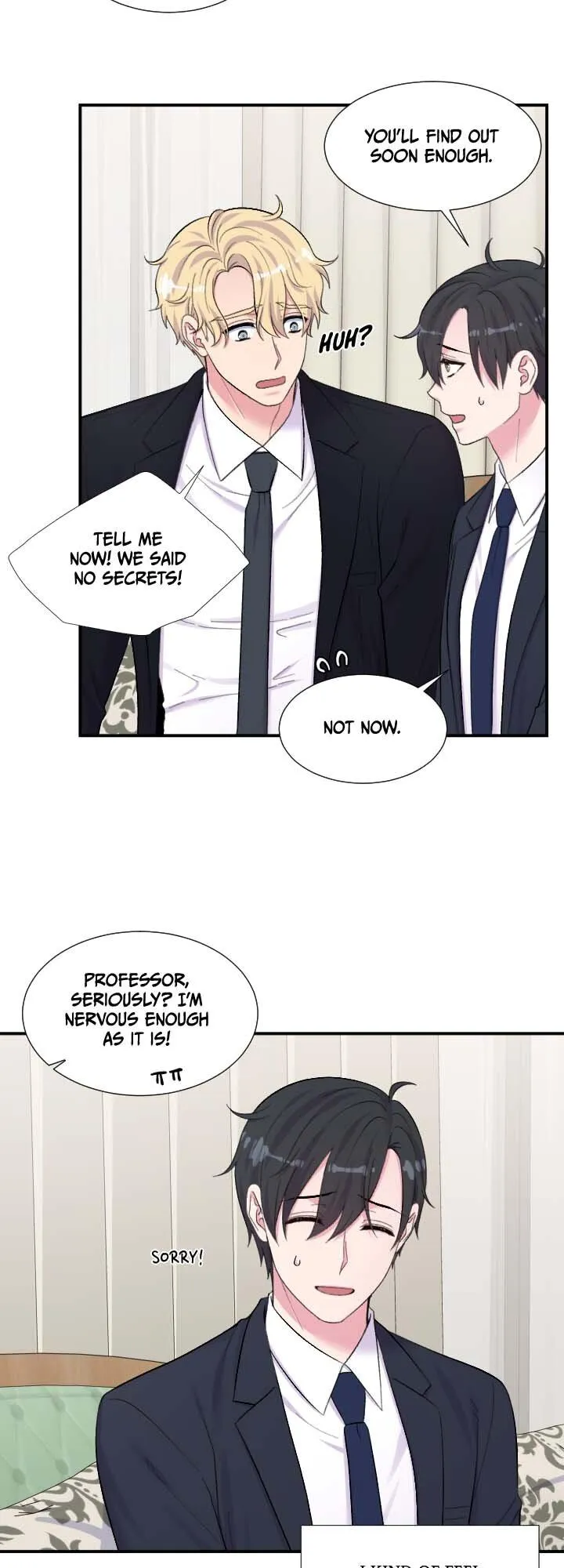 The Professor