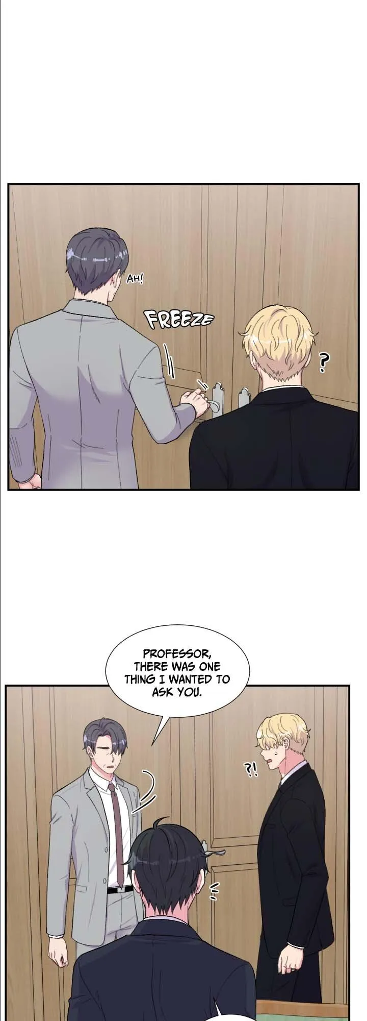 The Professor
