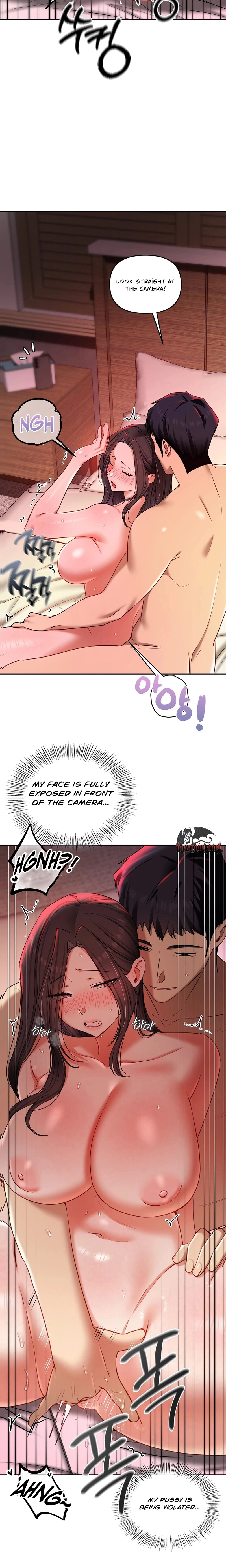 The Professor