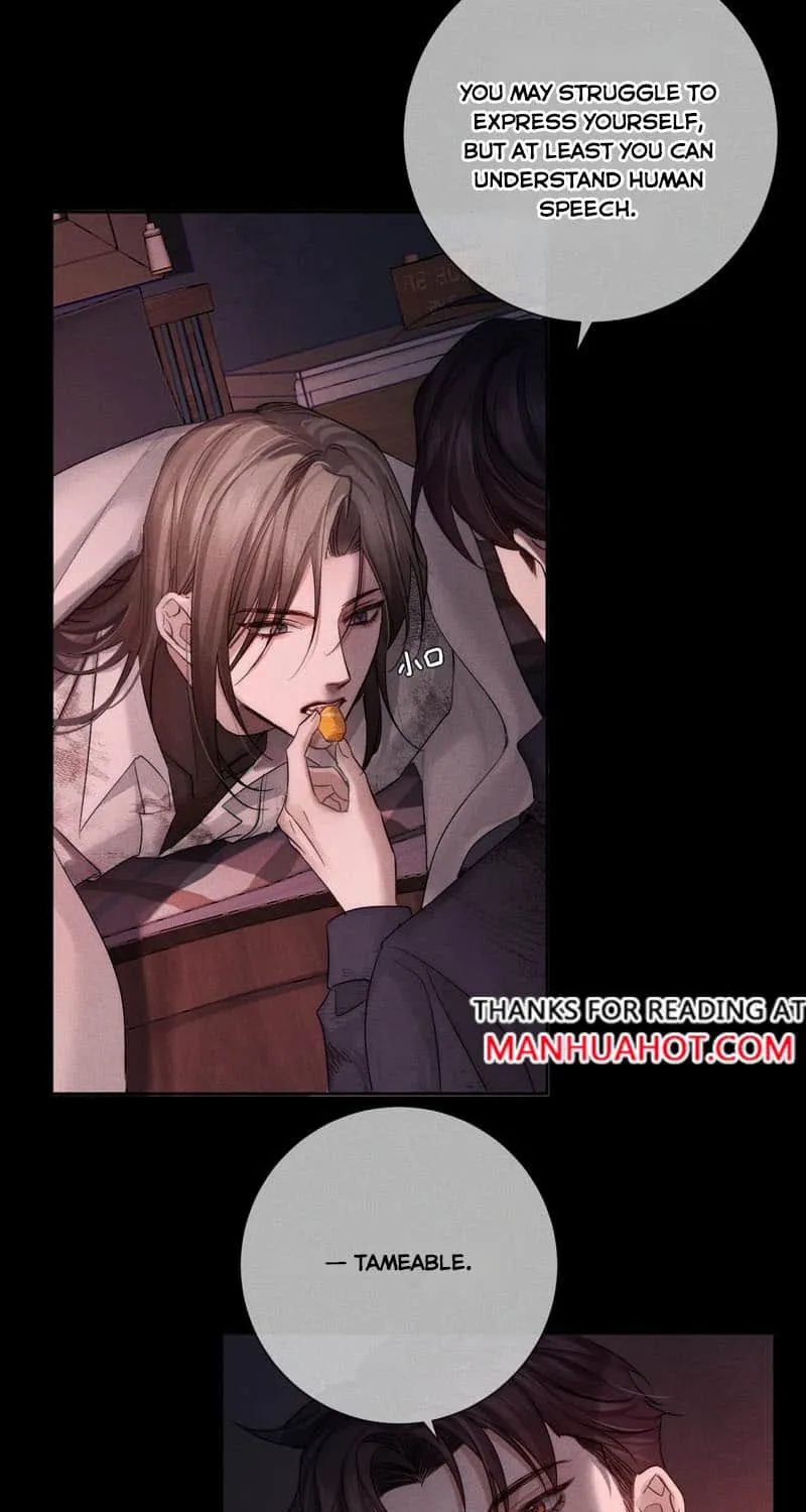 The Protagonist Just Wants To Falling In Love Chapter 237 page 36 - 