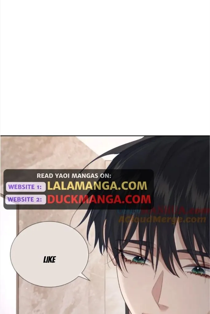 The Protagonist Just Wants To Falling In Love Chapter 39 page 13 - 
