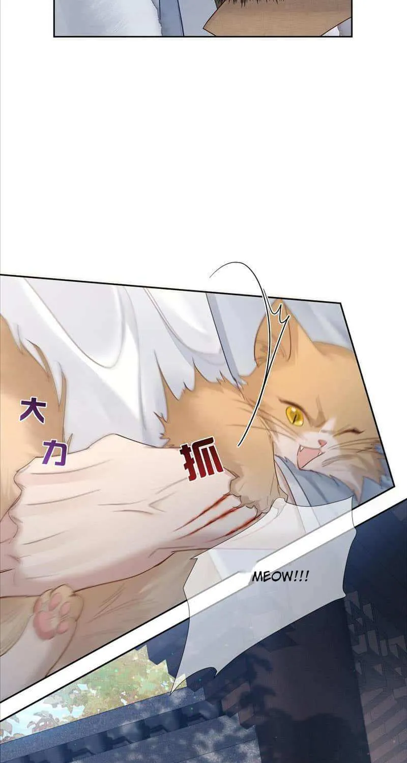 The Protagonist Just Wants To Falling In Love Chapter 63 page 25 - 