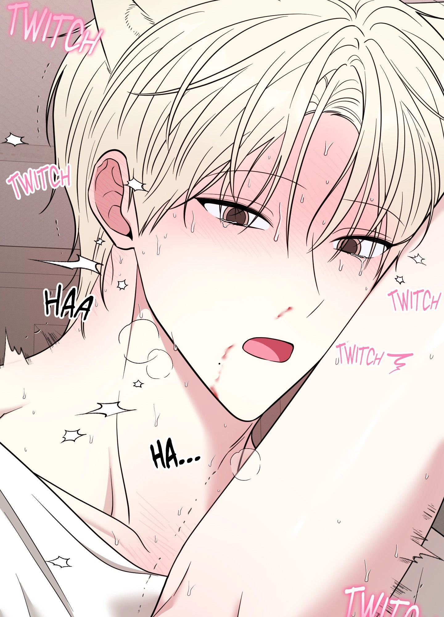 The Purrfect Match Chapter 17 page 71 - 