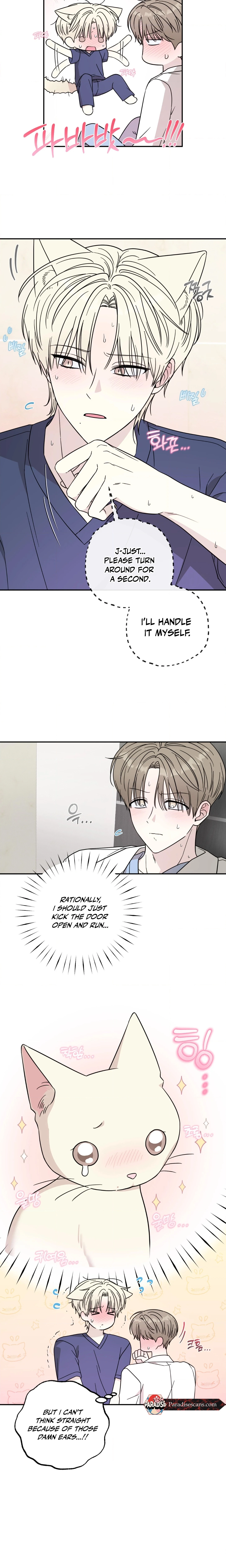 The Purrfect Match Chapter 2 page 3 - 