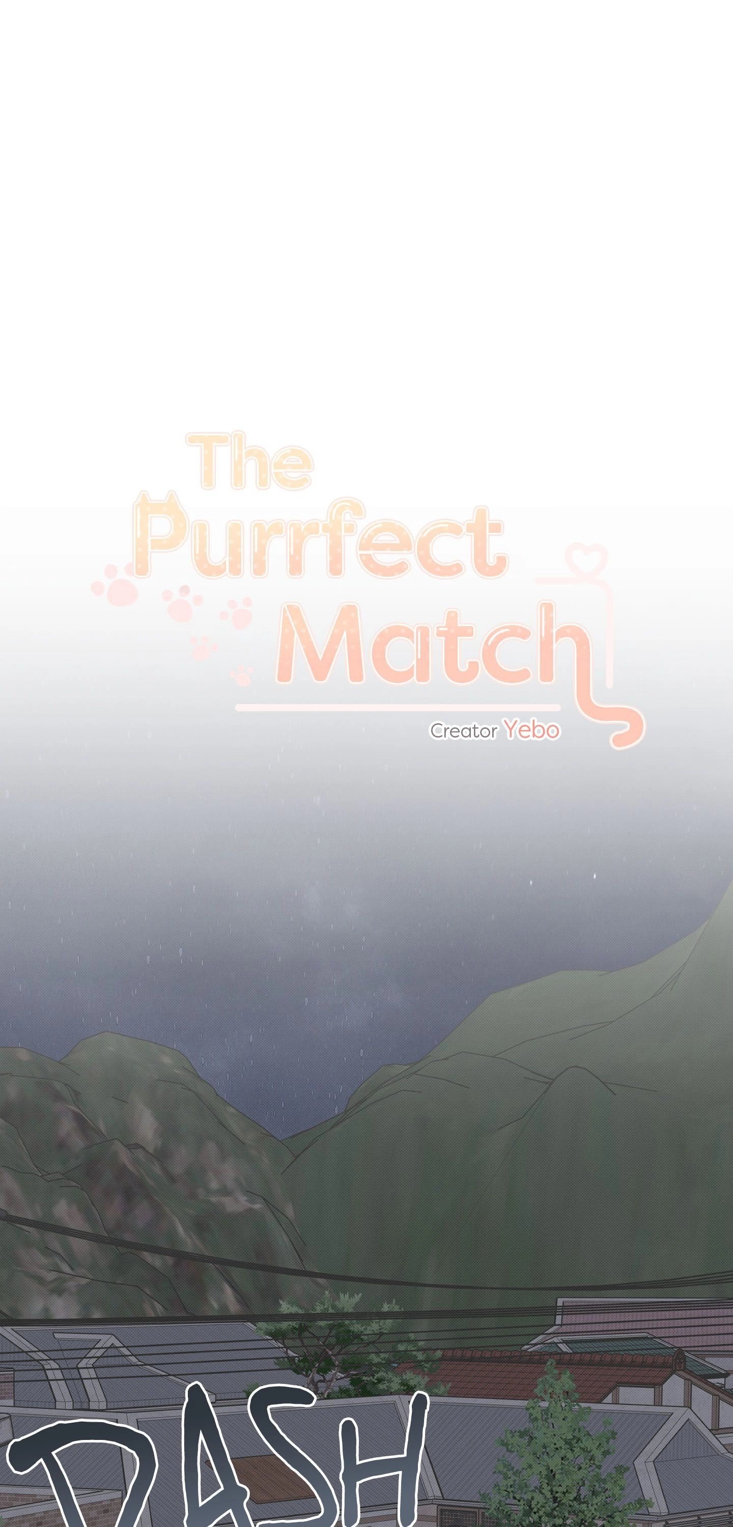 The Purrfect Match Chapter 23 page 1 - 