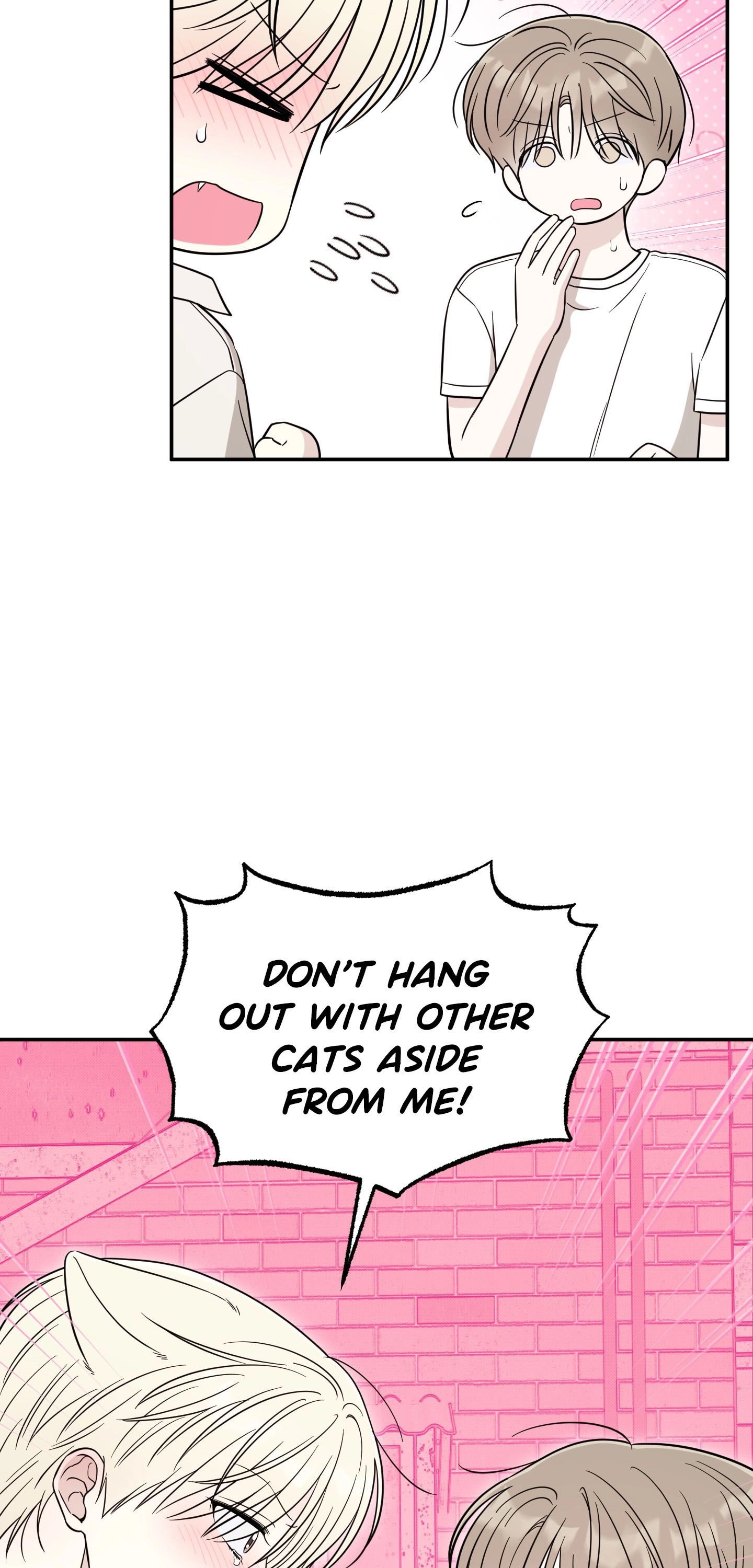 The Purrfect Match Chapter 23 page 22 - 