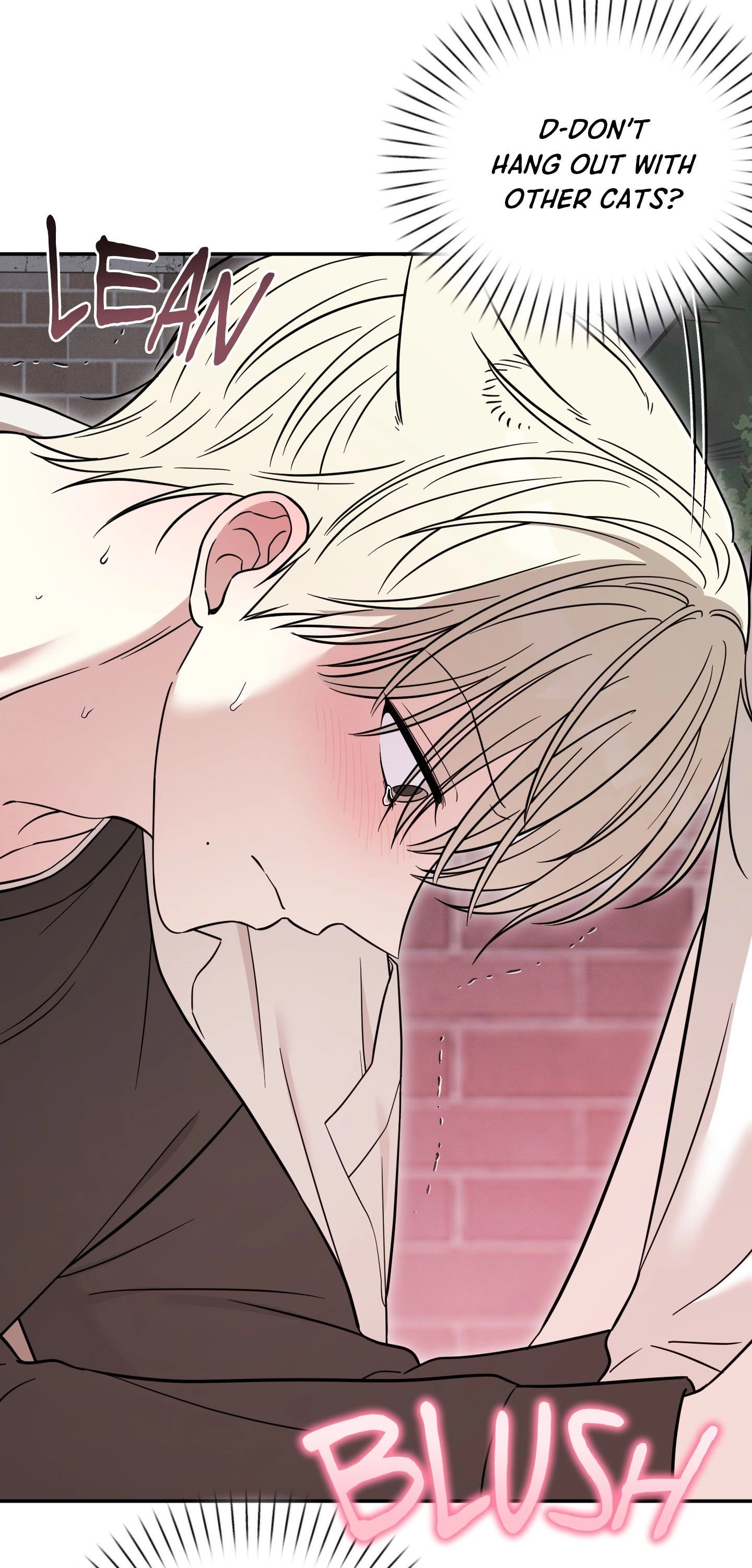 The Purrfect Match Chapter 23 page 25 - 