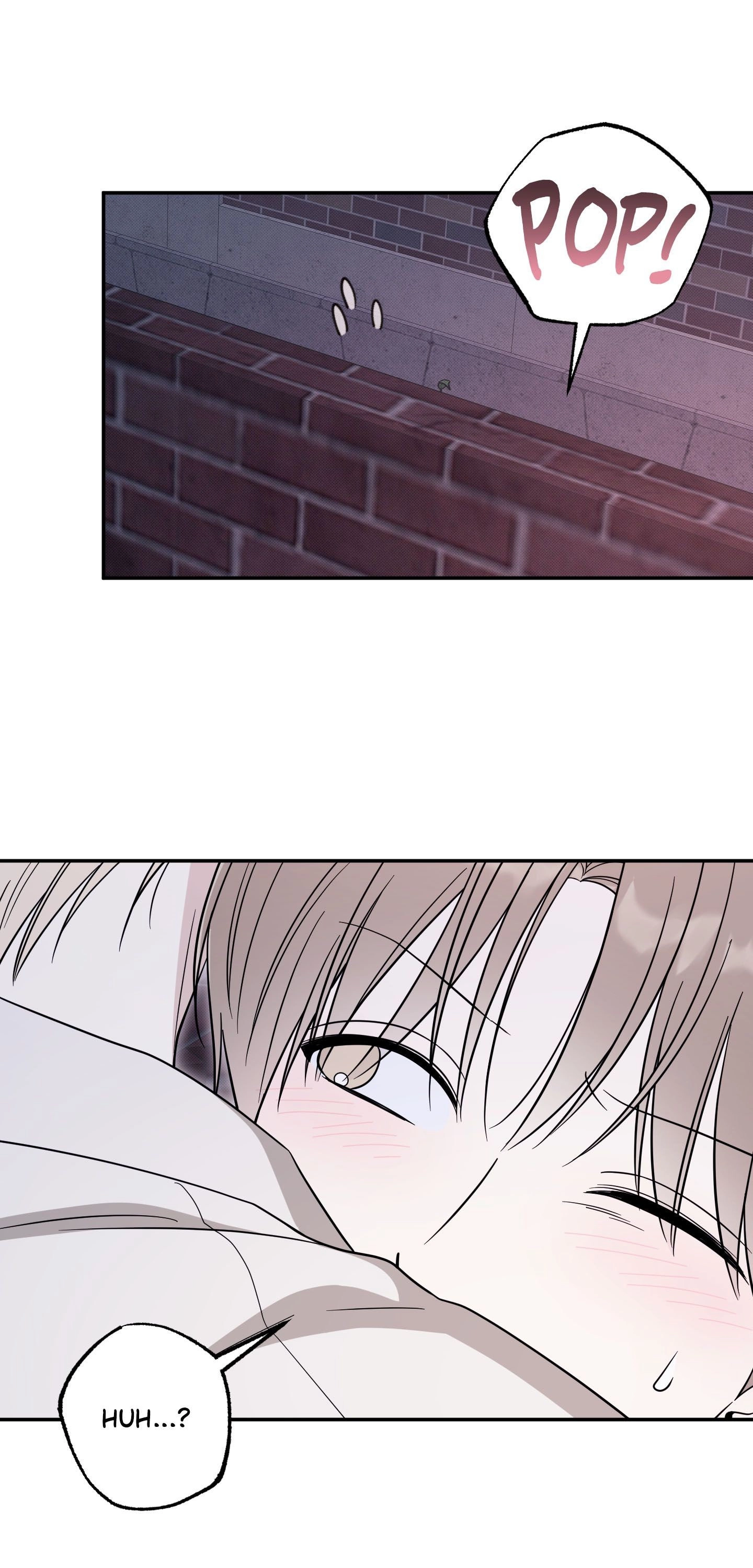 The Purrfect Match Chapter 23 page 41 - 