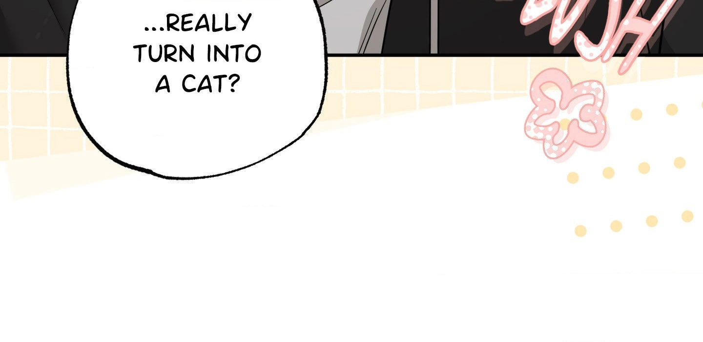 The Purrfect Match Chapter 26 page 94 - 