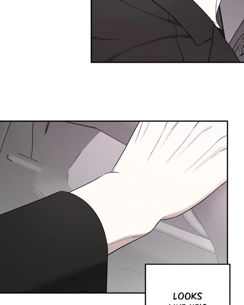 The Purrfect Match Chapter 28 page 14 - 