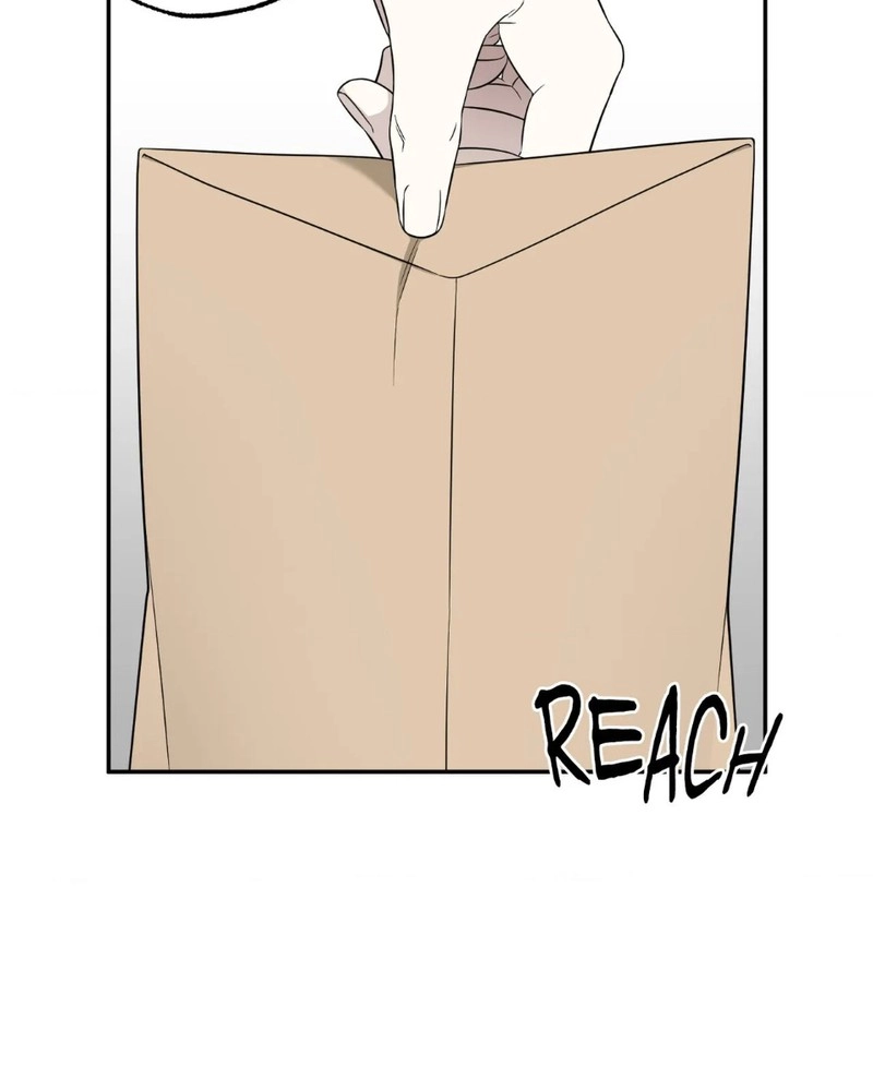 The Purrfect Match Chapter 28 page 41 - 