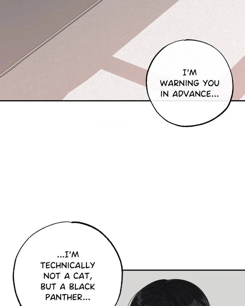 The Purrfect Match Chapter 28 page 73 - 
