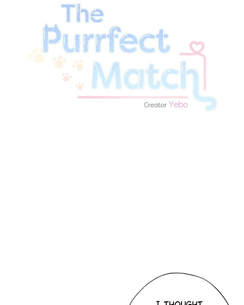 The Purrfect Match Chapter 28 page 9 - 