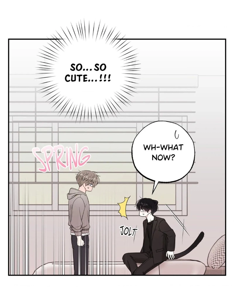 The Purrfect Match Chapter 28 page 87 - 