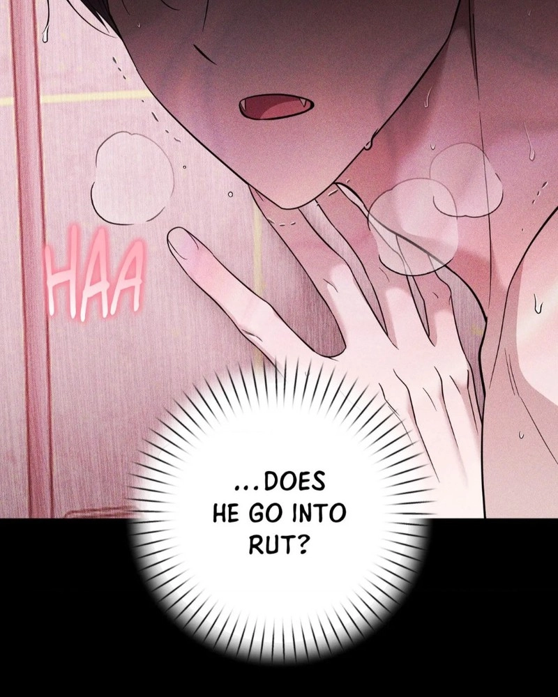 The Purrfect Match Chapter 29 page 17 - 