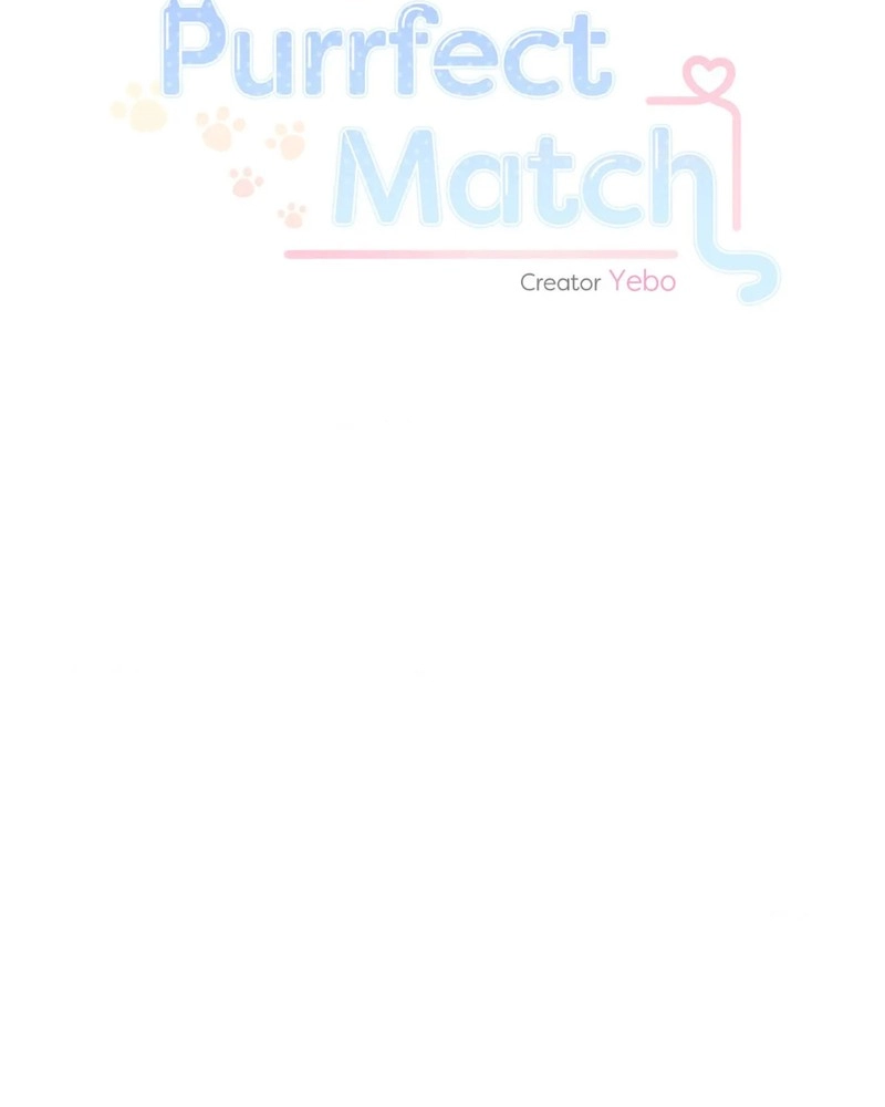 The Purrfect Match Chapter 29 page 26 - 