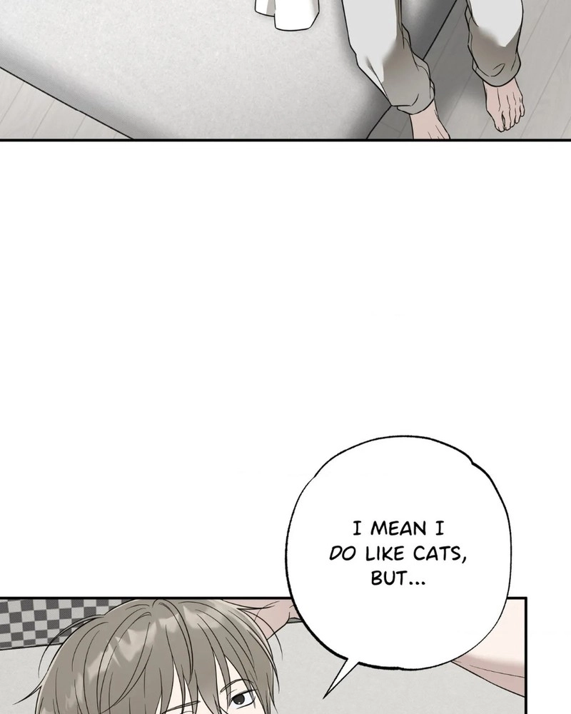 The Purrfect Match Chapter 29 page 31 - 
