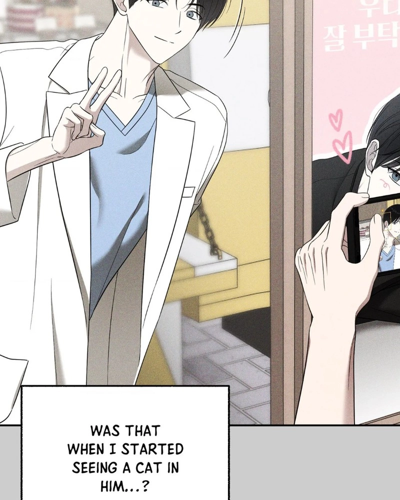 The Purrfect Match Chapter 29 page 49 - 