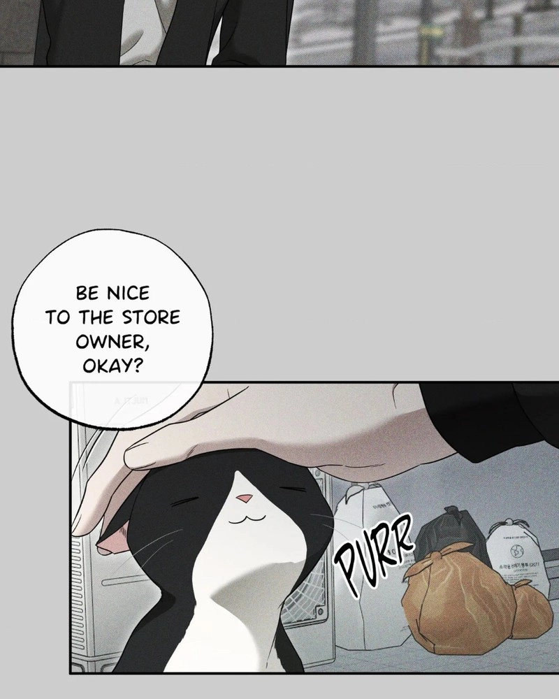 The Purrfect Match Chapter 29 page 63 - 