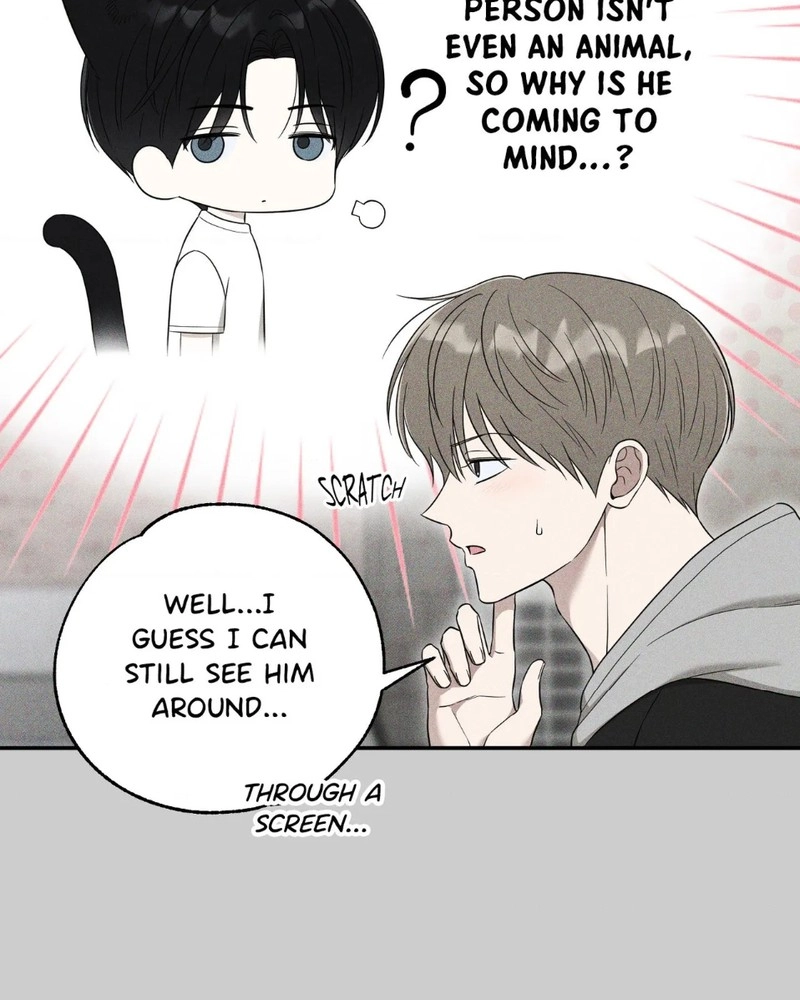 The Purrfect Match Chapter 29 page 69 - 