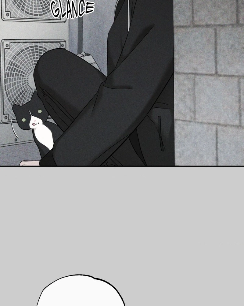 The Purrfect Match Chapter 29 page 73 - 