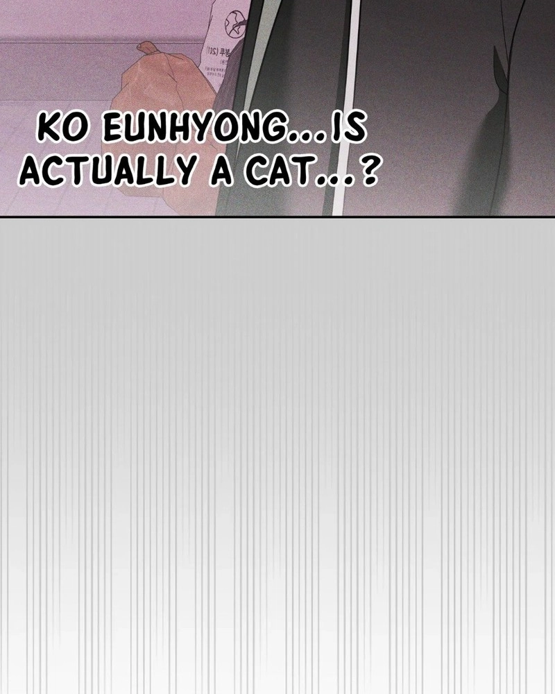 The Purrfect Match Chapter 29 page 78 - 