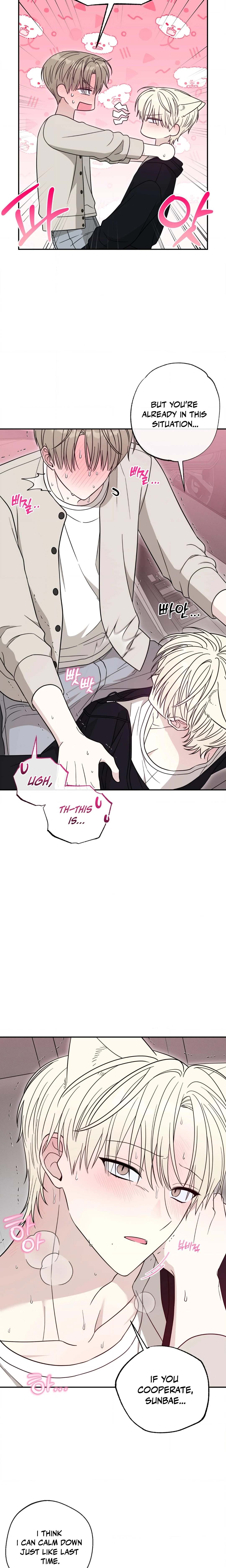 The Purrfect Match Chapter 3 page 11 - 