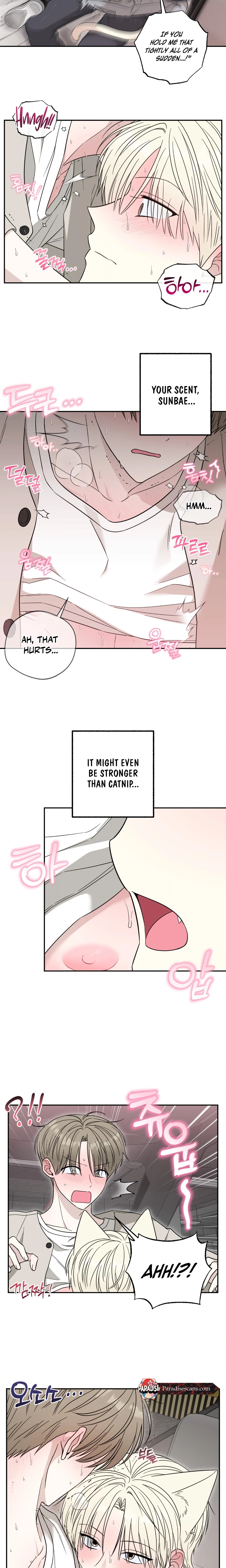 The Purrfect Match Chapter 3 page 14 - 