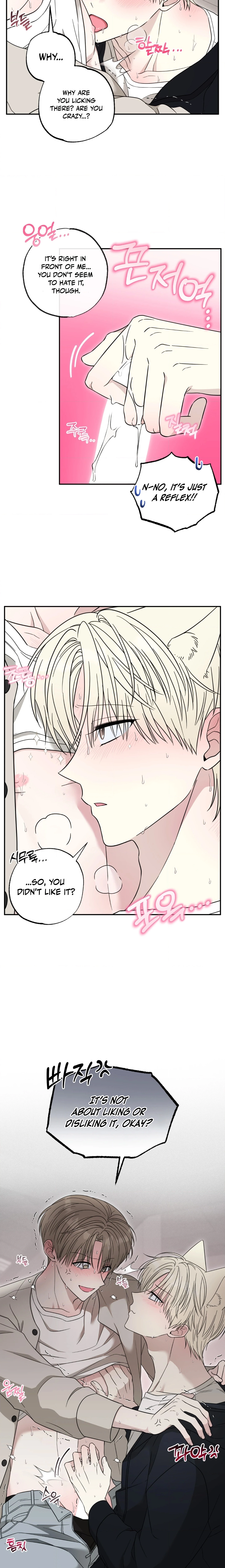 The Purrfect Match Chapter 3 page 15 - 