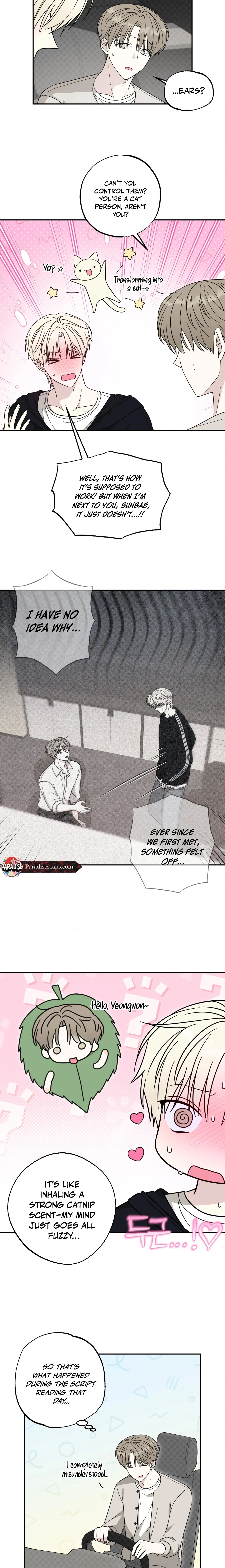 The Purrfect Match Chapter 3 page 3 - 