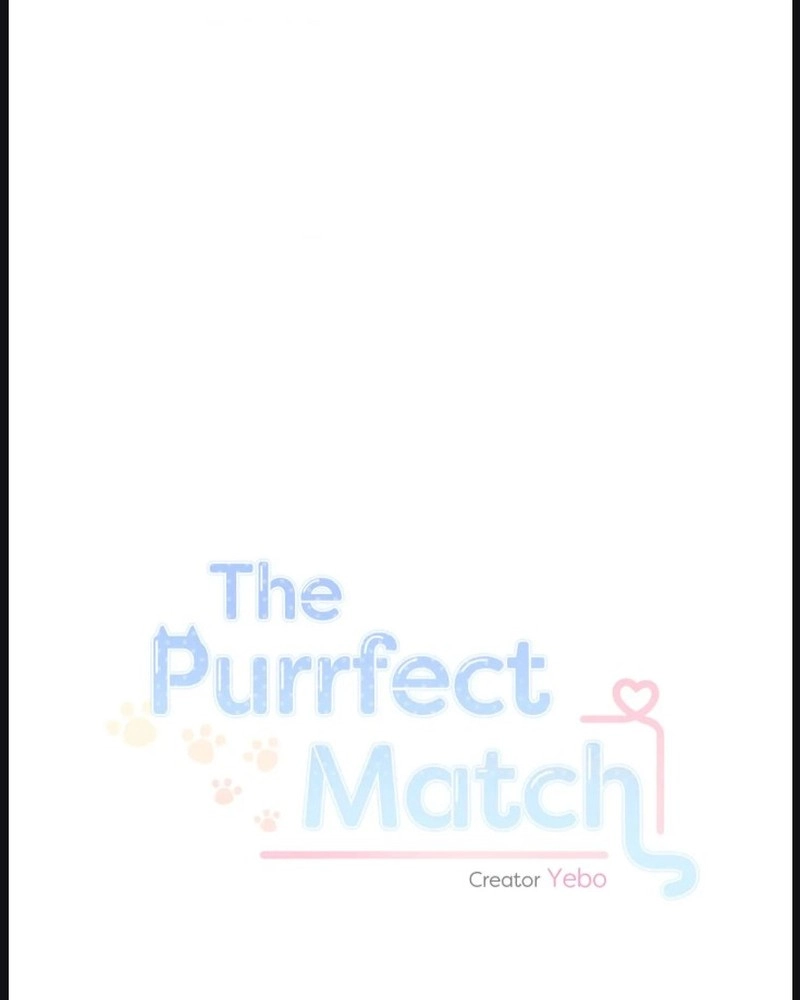 The Purrfect Match Chapter 30 page 1 - 
