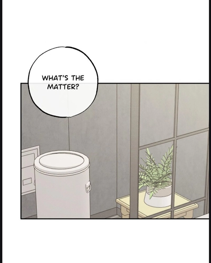The Purrfect Match Chapter 30 page 26 - 