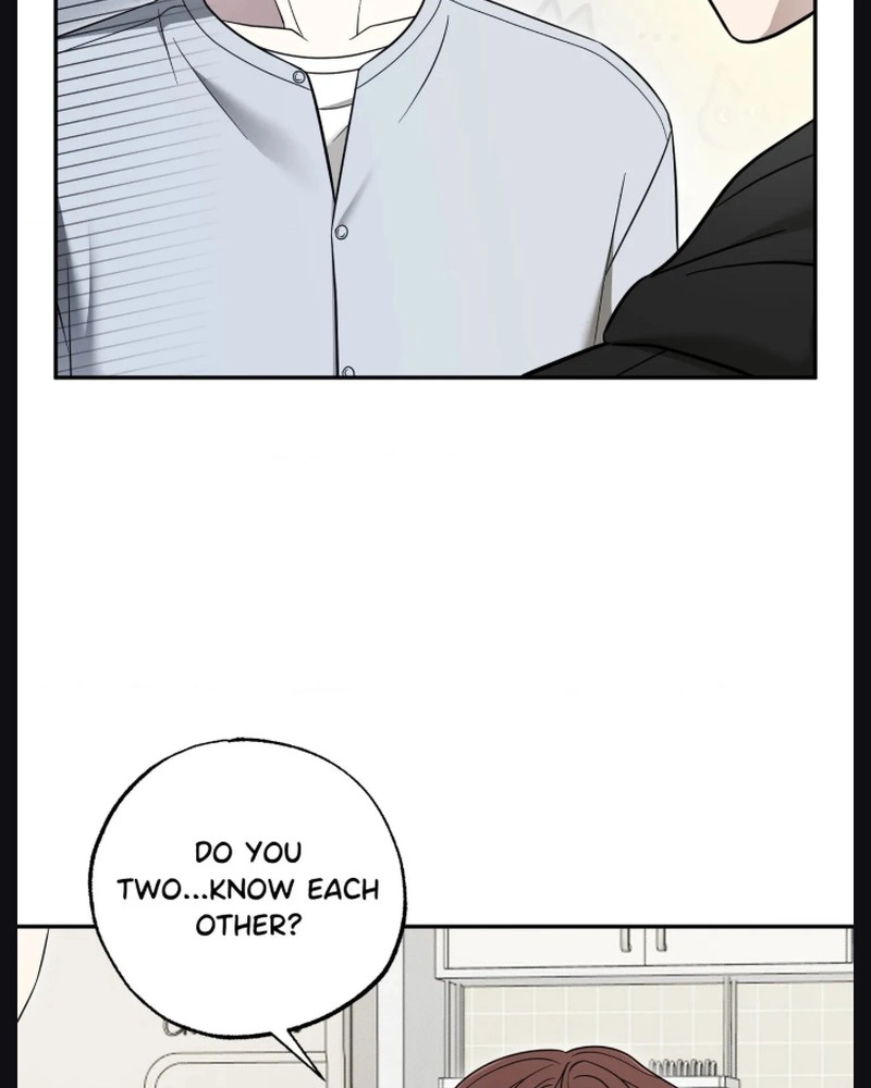The Purrfect Match Chapter 30 page 61 - 