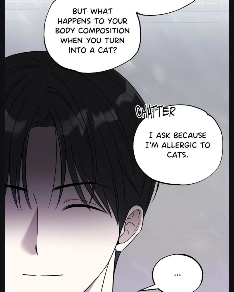 The Purrfect Match Chapter 30 page 82 - 