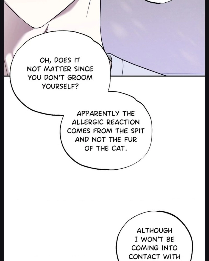 The Purrfect Match Chapter 30 page 83 - 