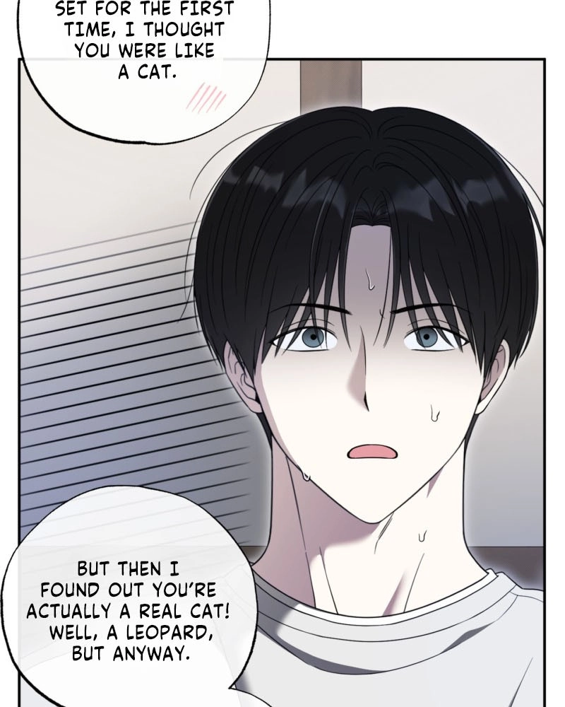 The Purrfect Match Chapter 31 page 75 - 