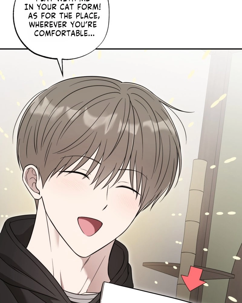 The Purrfect Match Chapter 31 page 85 - 