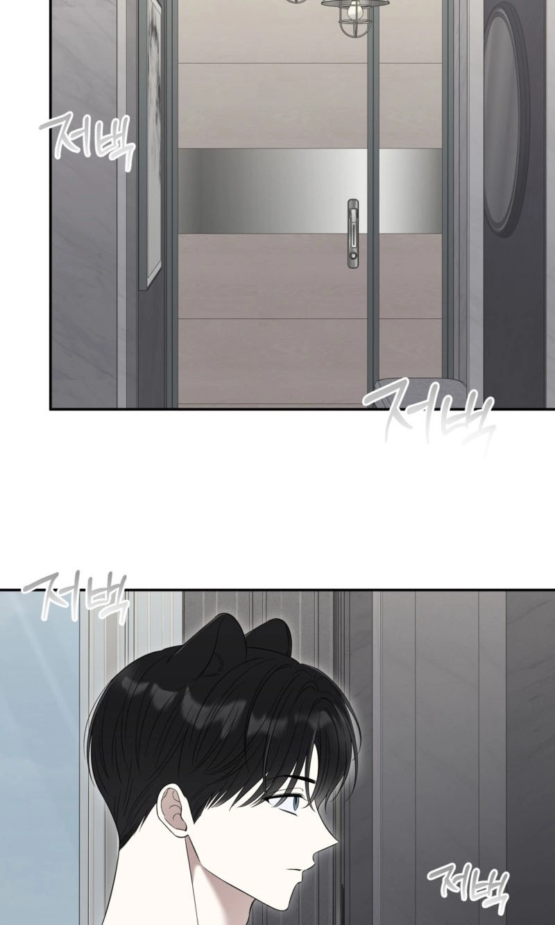 The Purrfect Match Chapter 32 page 14 - 