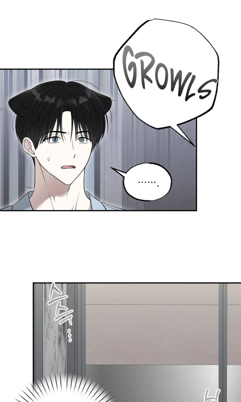 The Purrfect Match Chapter 32 page 18 - 
