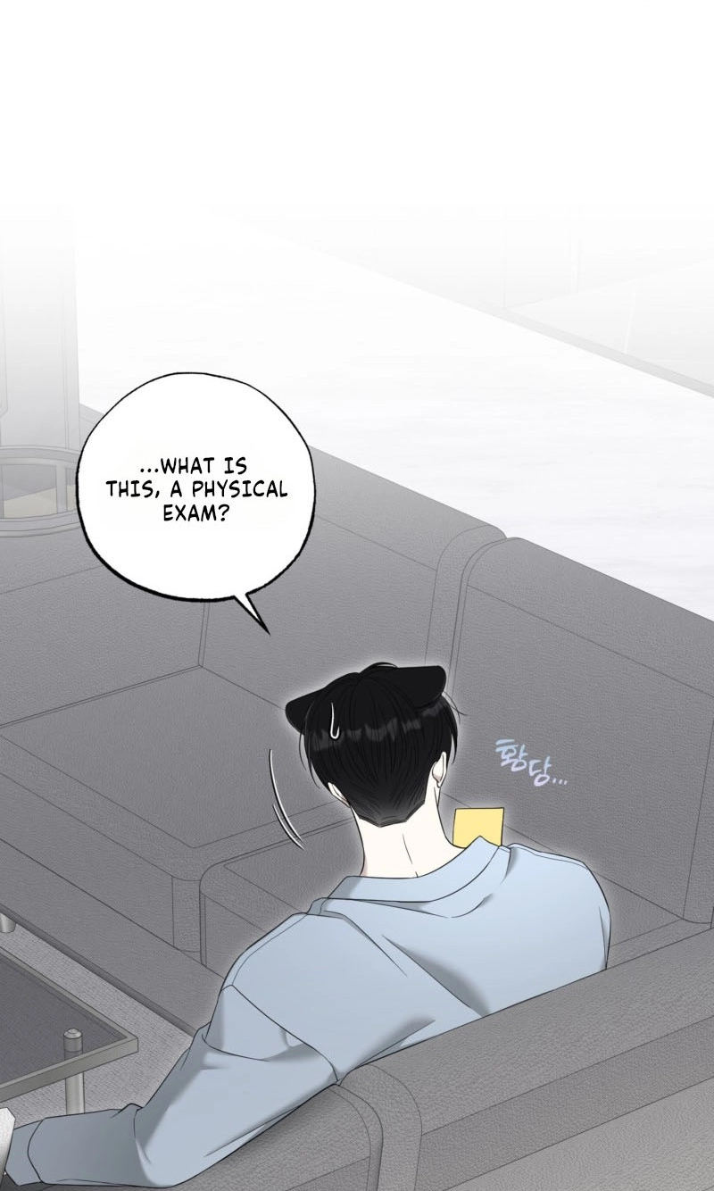 The Purrfect Match Chapter 32 page 5 - 