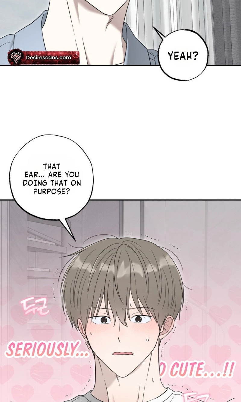 The Purrfect Match Chapter 32 page 41 - 