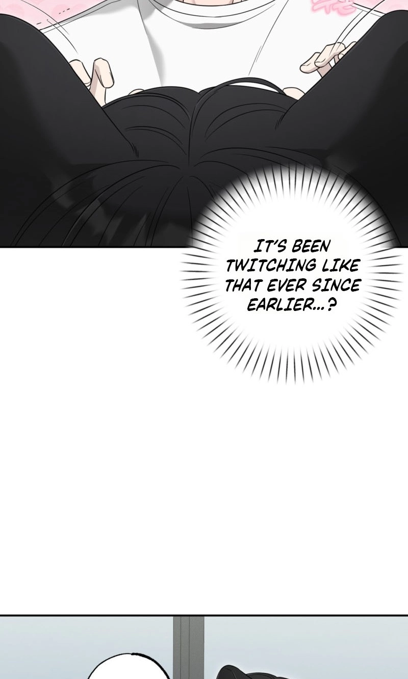 The Purrfect Match Chapter 32 page 42 - 