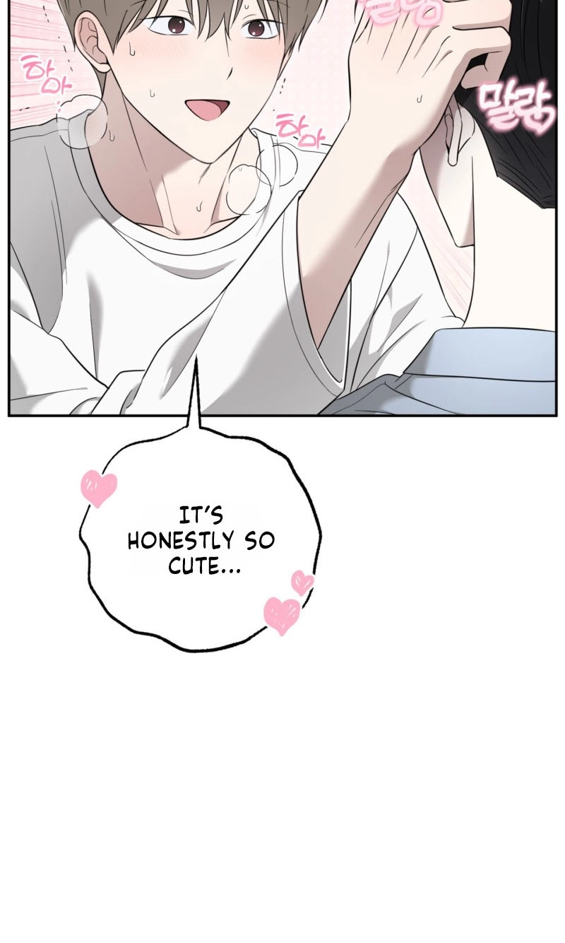 The Purrfect Match Chapter 32 page 47 - 