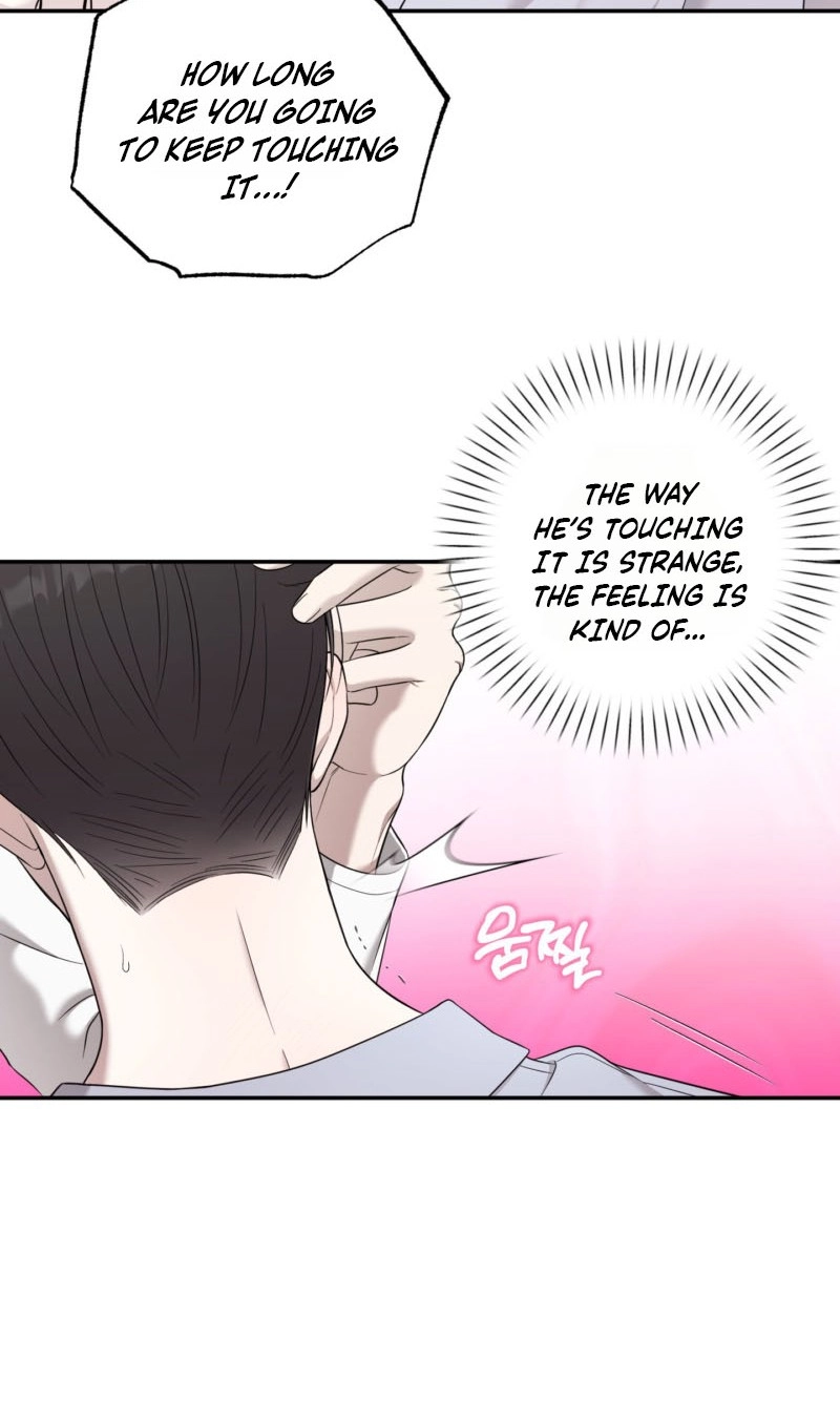 The Purrfect Match Chapter 32 page 49 - 
