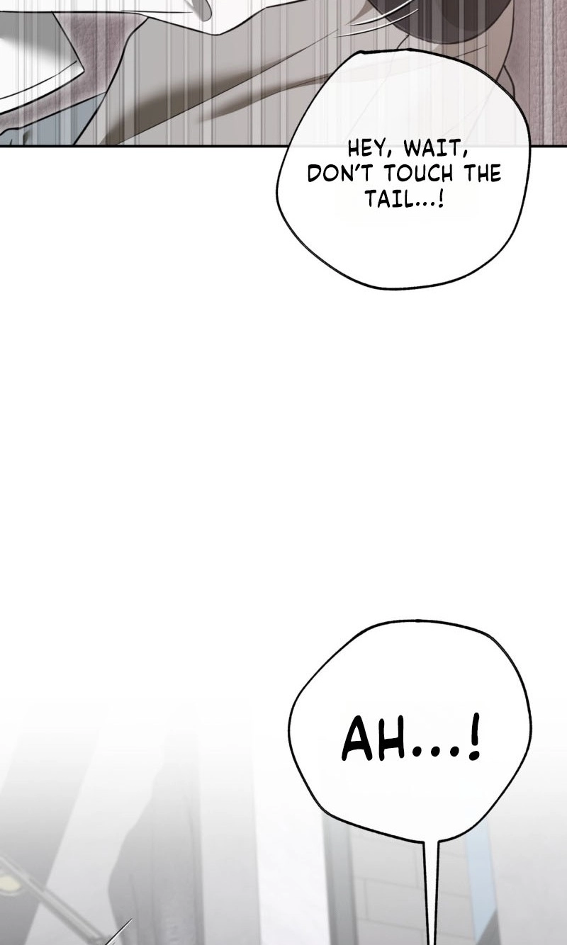 The Purrfect Match Chapter 32 page 53 - 