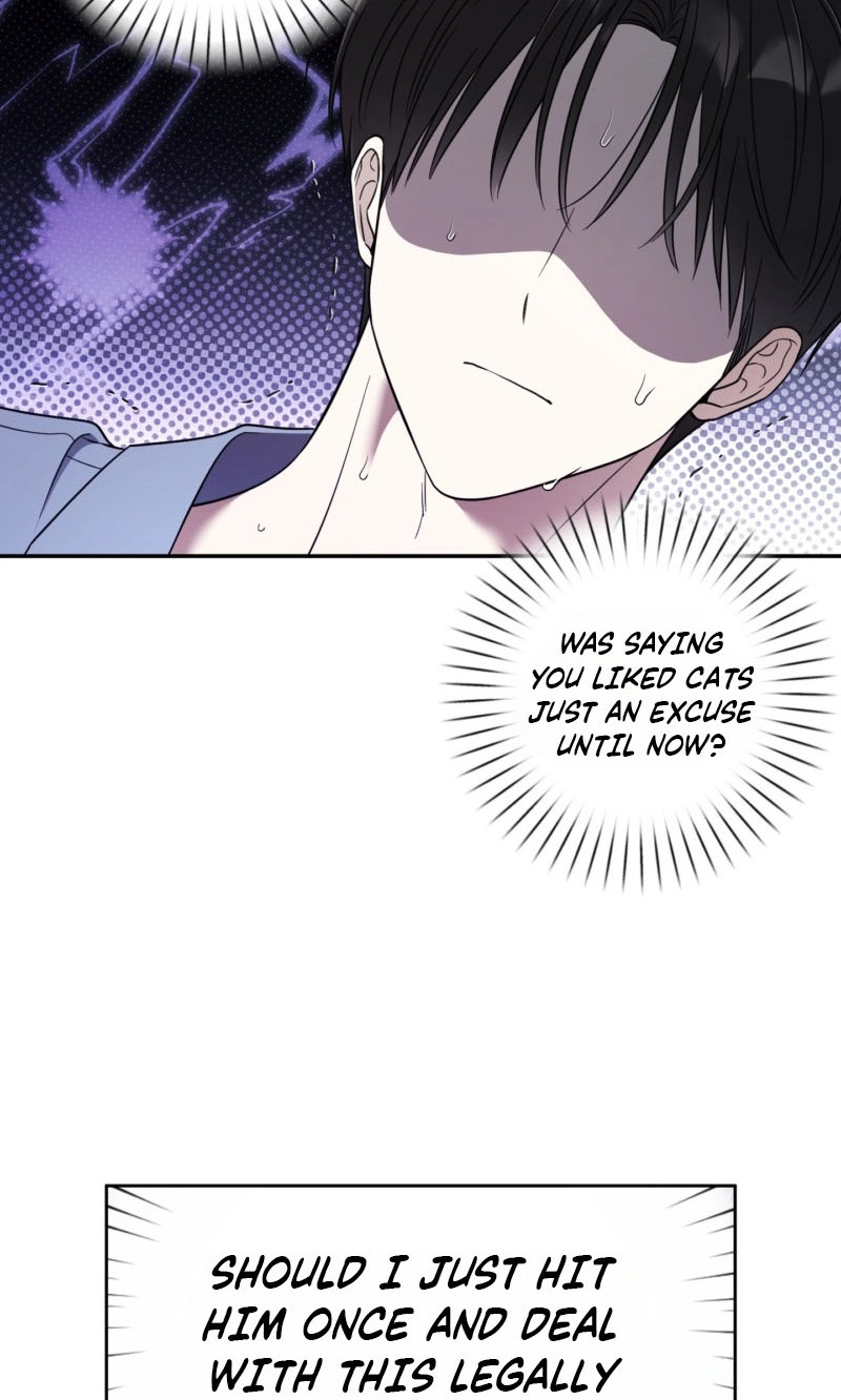 The Purrfect Match Chapter 32 page 66 - 