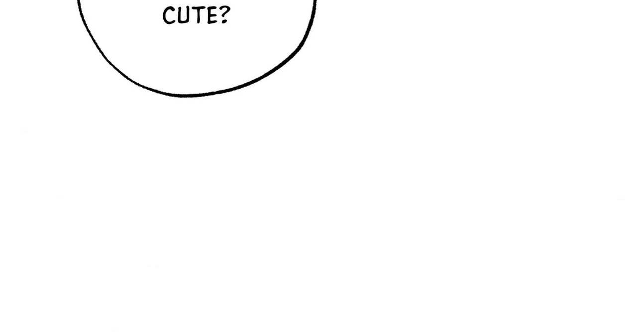 The Purrfect Match Chapter 34 page 41 - 