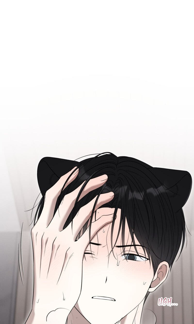 The Purrfect Match Chapter 35 page 25 - 