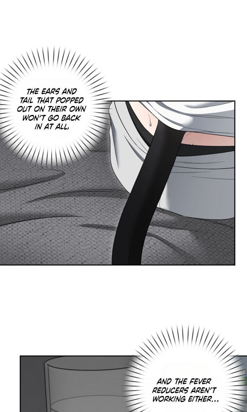 The Purrfect Match Chapter 35 page 28 - 